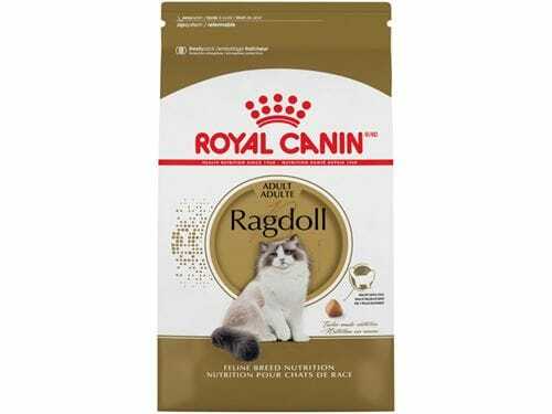 royal canin ragdoll 2kg