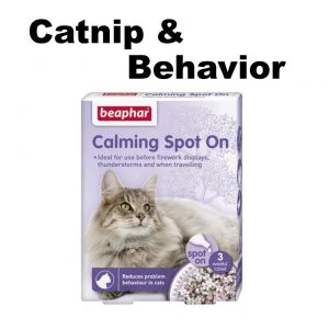 Catnip & Behaviour