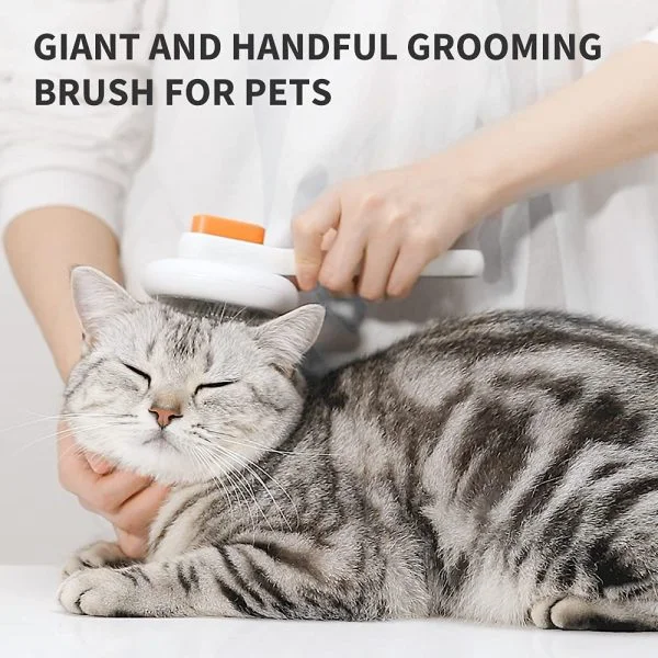 PetKit Large Grooming Brush - Image 5