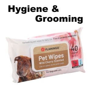 Dog Hygiene